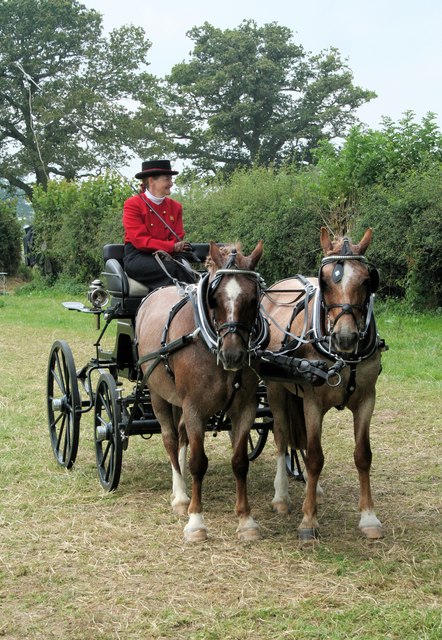 a-well-matched-pair-geoff-evans-cc-by-sa-2-0-geograph-britain-and