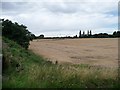 Corner of a stubble field, east of Shelthorpe