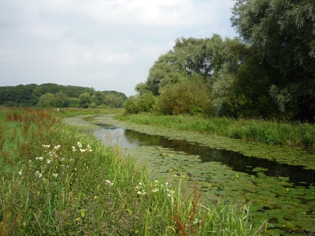 Pocklington Canal near Hagg Bridge © DS Pugh cc-by-sa/2.0 :: Geograph ...