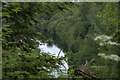 A glimpse of the River Beauly at Teanassie