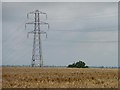 Pylon in a wheatfield