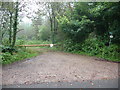 Track into woodland off Rosemary Lane