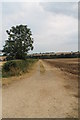 SK9131 : Farm Track, near Grange Farm by J.Hannan-Briggs