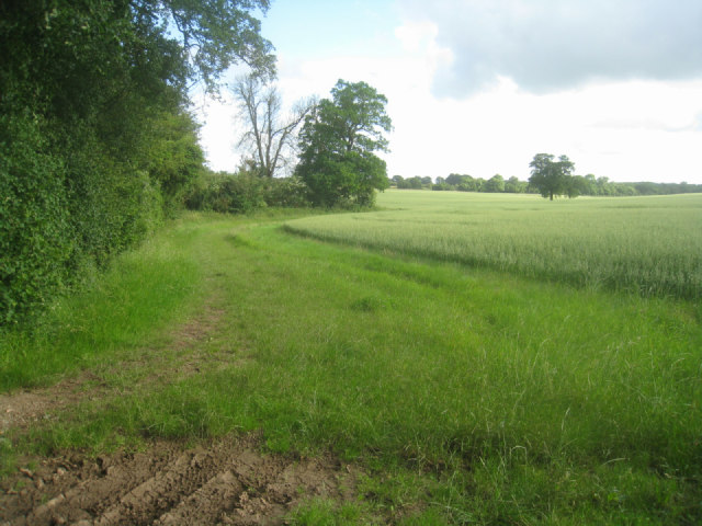 Broad field margin © Given Up :: Geograph Britain and Ireland