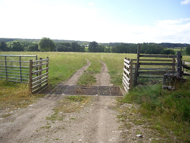 Gate, cattle grid and stile