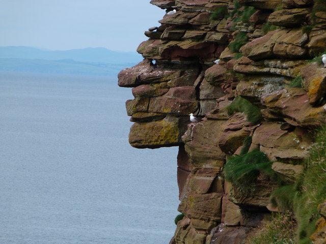 Cliff 'Face' on Saint Bees Head