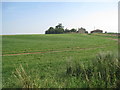 View towards Scopwick Lodge Farm