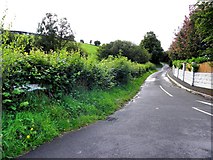 H3873 : Coolkeeragh Road, Cloghog Upper by Kenneth  Allen