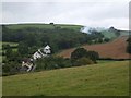 Butts, near Dunsford seen from Berry Lane