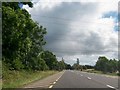 H9310 : Power lines crossing the N53 east of Rassan on the Louth-Monaghan border by Eric Jones