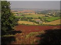 View over Pitt Farm