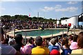 The Sea Lion Arena in Whipsnade Zoo