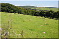 Farmland near Cefn-y-Grib Farm