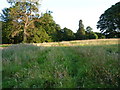 The bridleway from Sytch House Green to Broad Oak