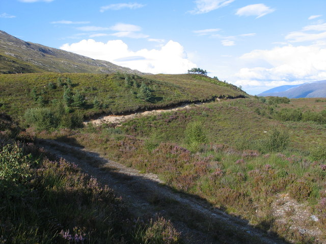 Hill track north of Lochcarron
