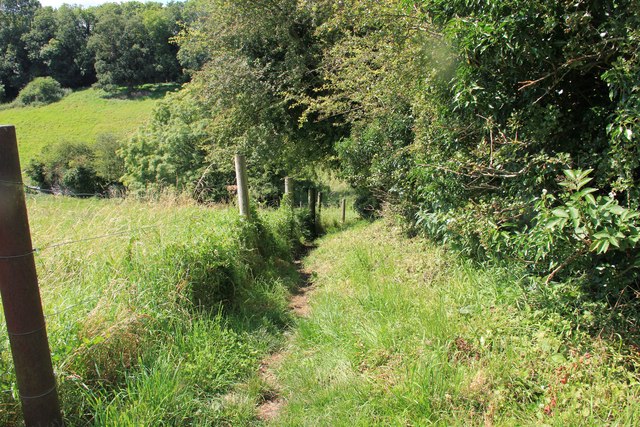 Path down to Chedworth stream