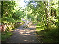 Cyclepath metal fencing