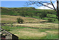 Chinley - Stubbins Lane