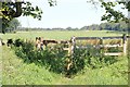 Gate across path to Chedworth airfield