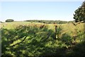 Path divides north of Chedworth