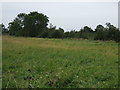 Farmland off Dunton Lane