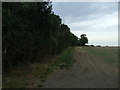 Footpath heading north near Park Corner Farm