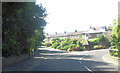 Road through Masham village