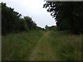 TL3254 : Porter's Way heading east off the A1198 (byway) by JThomas