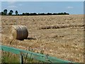 TF0010 : Haymaking north of Great Casterton by Christine Johnstone