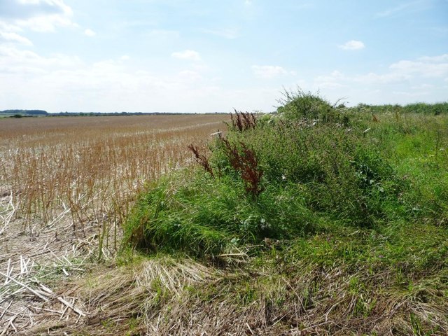 Entrance to stubble field, east of Pickworth Road