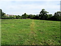 Footpath on Mawking Hill