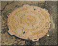 D1003 : Stanton "Saracen" manhole cover, Ballymena by Albert Bridge