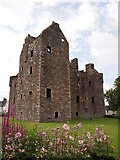 NX6851 : Maclellan's Castle, Kirkcudbright by Chris Andrews