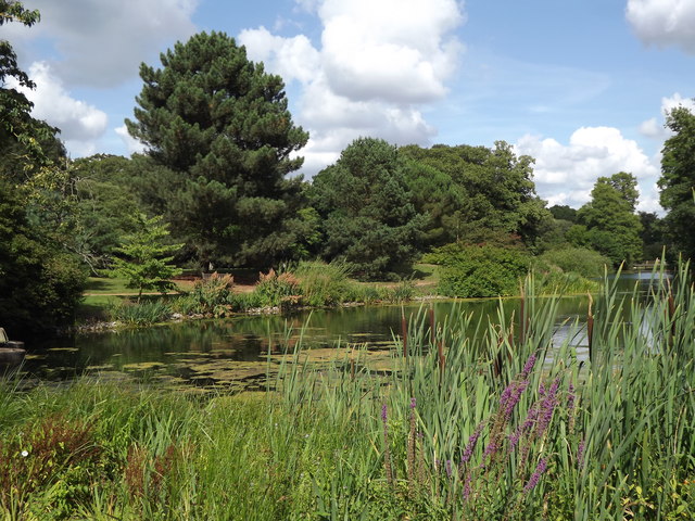 The Lake, Kew Gardens