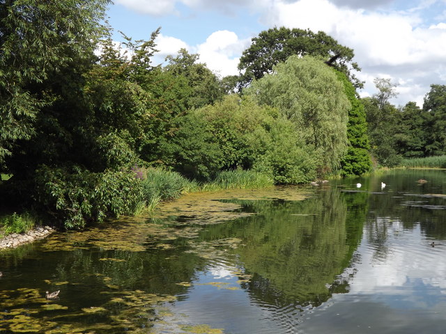 The Lake, Kew