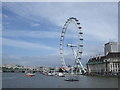 TQ3079 : London Eye and the River Thames by Paul Gillett