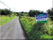 H6726 : Road at Darraghlan by Kenneth  Allen