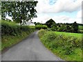 H6529 : Road at Tullyharney by Kenneth  Allen