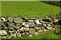 J5262 : Drystone wall near Killinchy by Albert Bridge