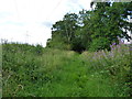 Bridleway east of Kinvaston Hall Farm