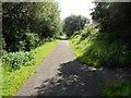 Footpath along route of former railway line near Sebastopol