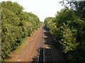 Railway Line near Paddock Wood