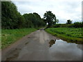 SO5022 : Single track road from Llangunnock Bridge towards Trewaugh by Ruth Sharville