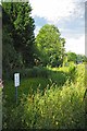 Pond at Peartree Green