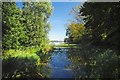 Inlet on Hanningfield Reservoir