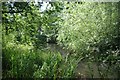 Pond by the Visitor Centre