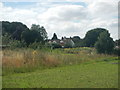 Allotments at Tostock