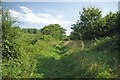 Footpath to Downham Rd