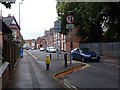 Traffic calming statue