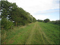 TF2476 : Roman road near Goulceby by Jonathan Thacker